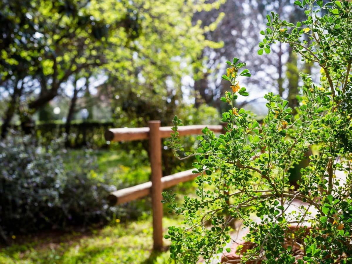 Agriturismo Alberese Sasso Rosso Villa Esterno foto